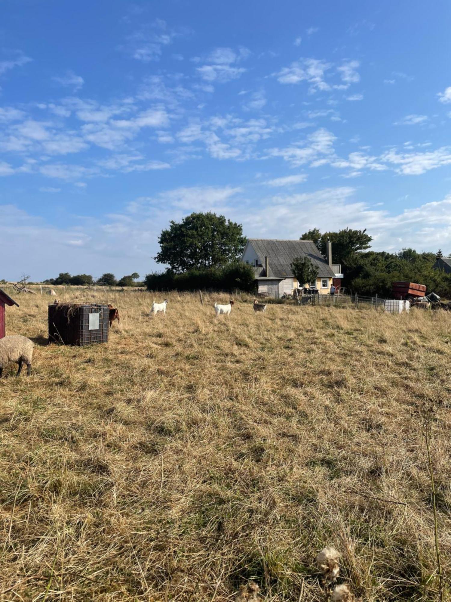 Oestermark Ærøskøbing Zewnętrze zdjęcie